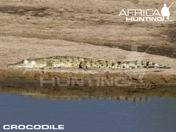 Left Image